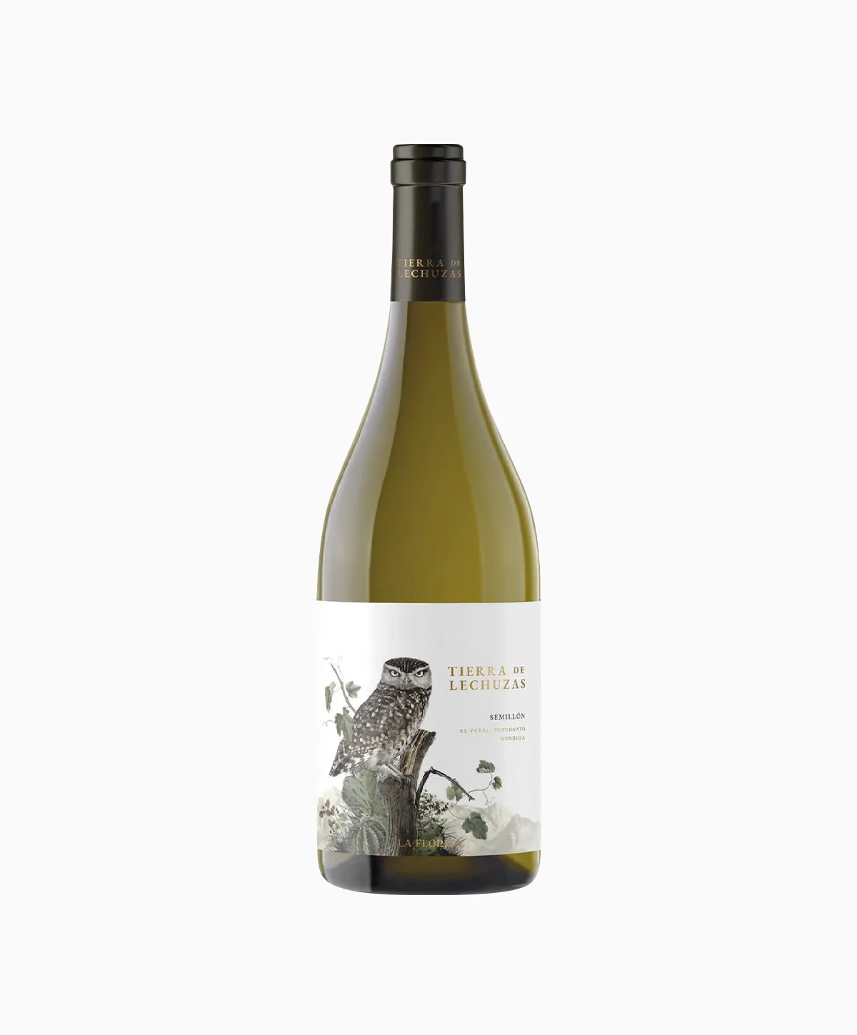 Tierra de Lechuzas Semillon Luján de Cuyo Mendoza La Florita